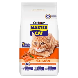Master Cat 22kg